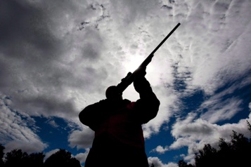 Québec refuse de bannir la chasse sur l’île de Montréal)