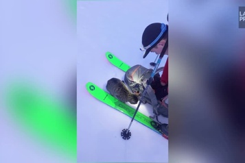 Un chat les accompagne à 3000 mètres d'altitude )
