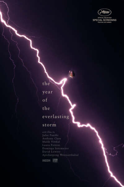 The Year of the Everlasting Storm