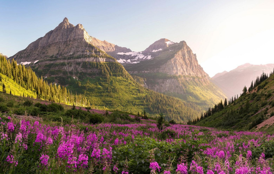 https://mobile-img.lpcdn.ca/lpca/924x/af082505-d595-11e9-a65c-0eda3a42da3c.jpg