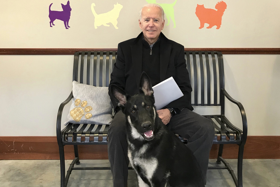 AP Joe Biden et son chien Major