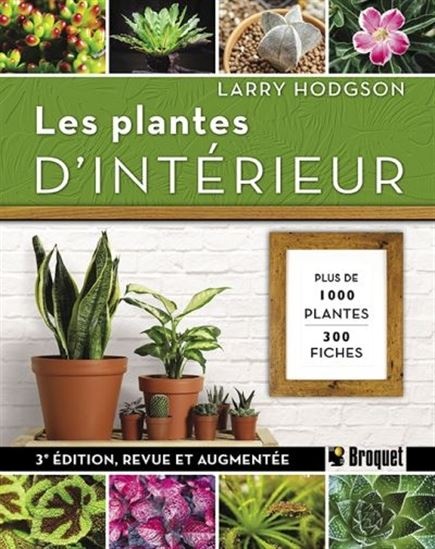 Les secrets d'un terrarium réussi - Jardinier paresseux