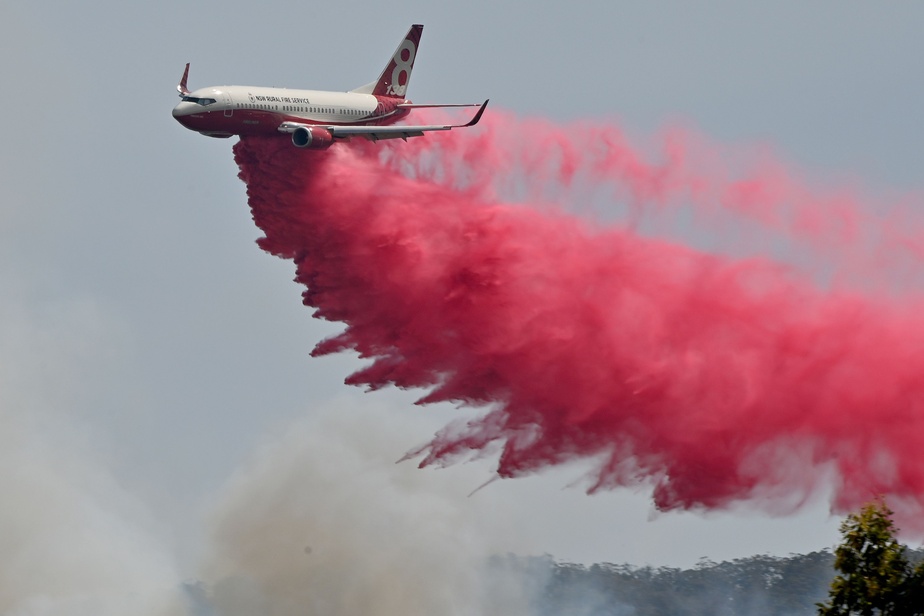 En Australie, trois Américains tués dans le crash d’un avion bombardier d'eau En Australie, trois Américains tués dans le crash d’un avion bombardier d'eau