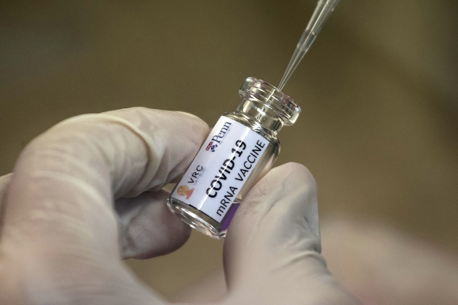 Vaccin | Medicago rapporte à son tour des résultats prometteurs