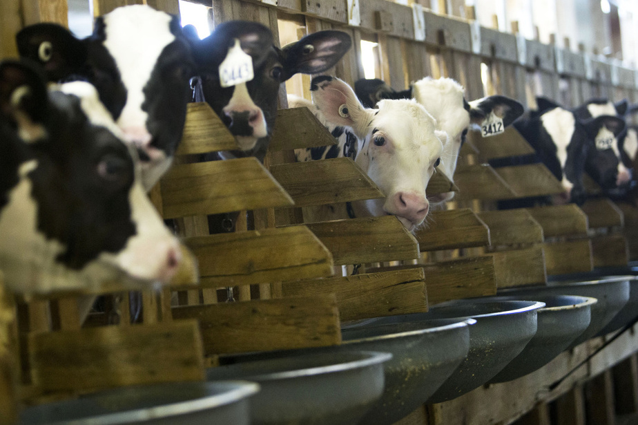 Accords commerciaux « La patience a assez duré »