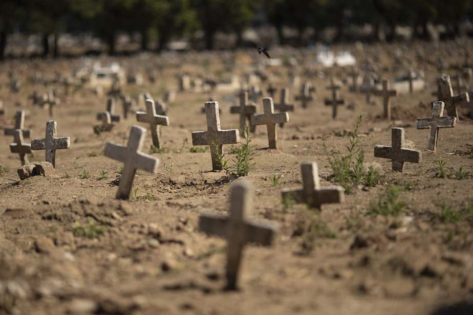 Plus de 100 000 morts de la COVID au Brésil