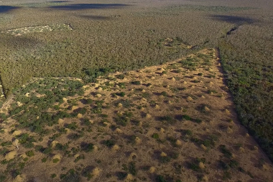 Réunion de l’ONU sur le climat au Brésil en pleine polémique sur l’Amazonie