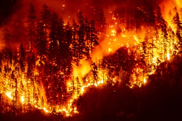  L’incendie de forêt sur l’île de Vancouver s’est étendu de 58 %