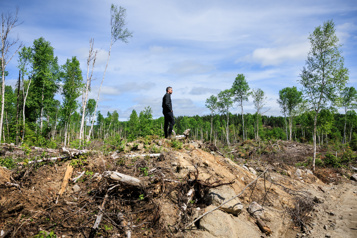  Une forêt en crise