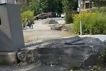 Agression d’un homme juif dans un parc L’homme accusé sera évalué en hôpital psychiatrique