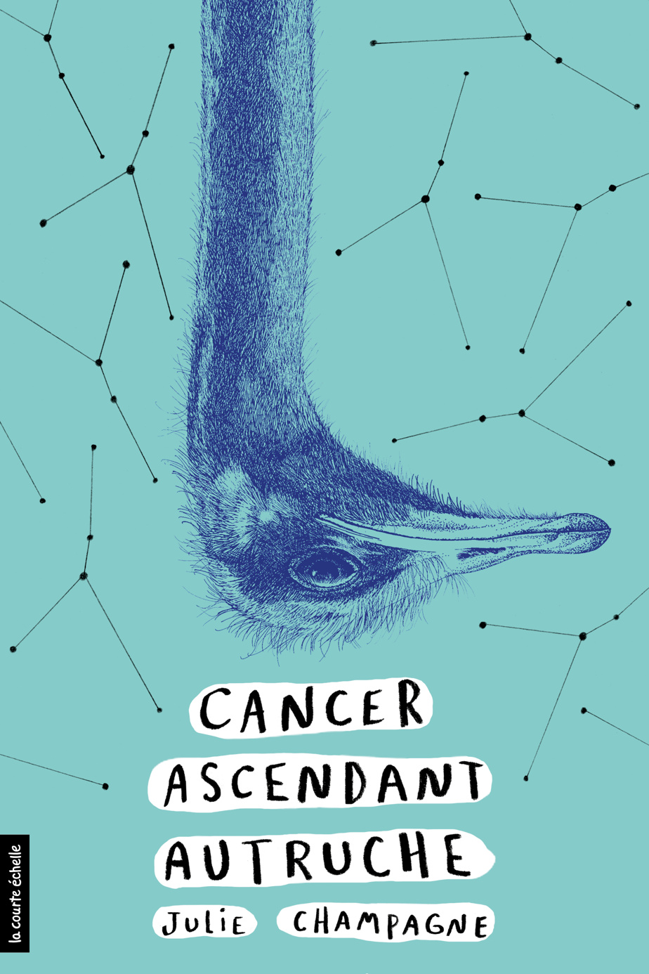 Cancer ascending ostrich