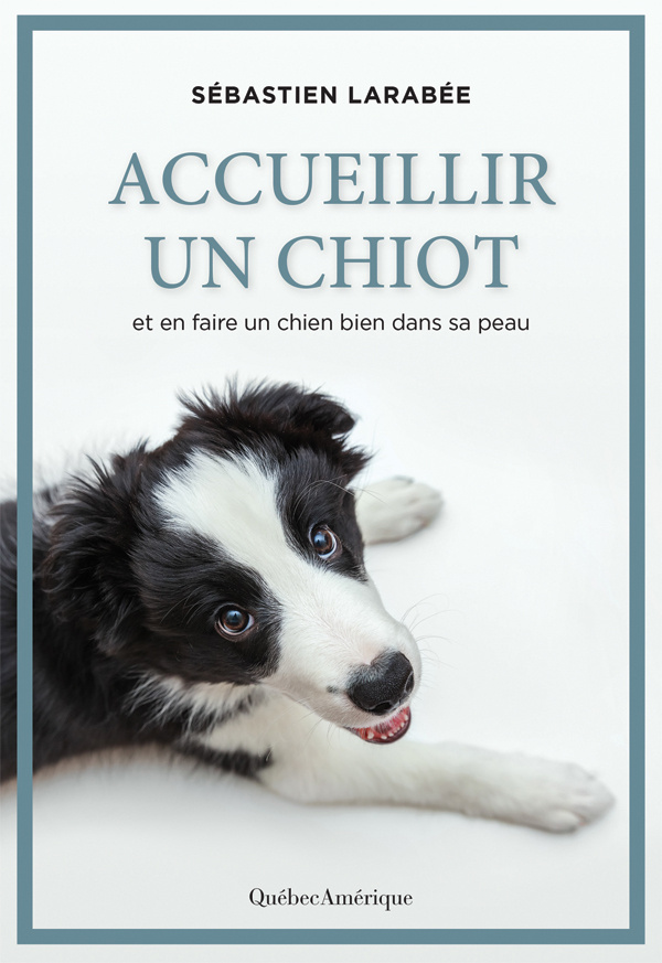 Accueillir un chiot – Et en faire un chien bien dans sa peau 