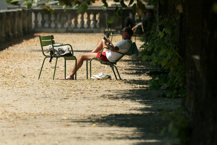 Argent et Bonheur : 5 Livres Essentiels pour une Finance Personnelle Épanouie