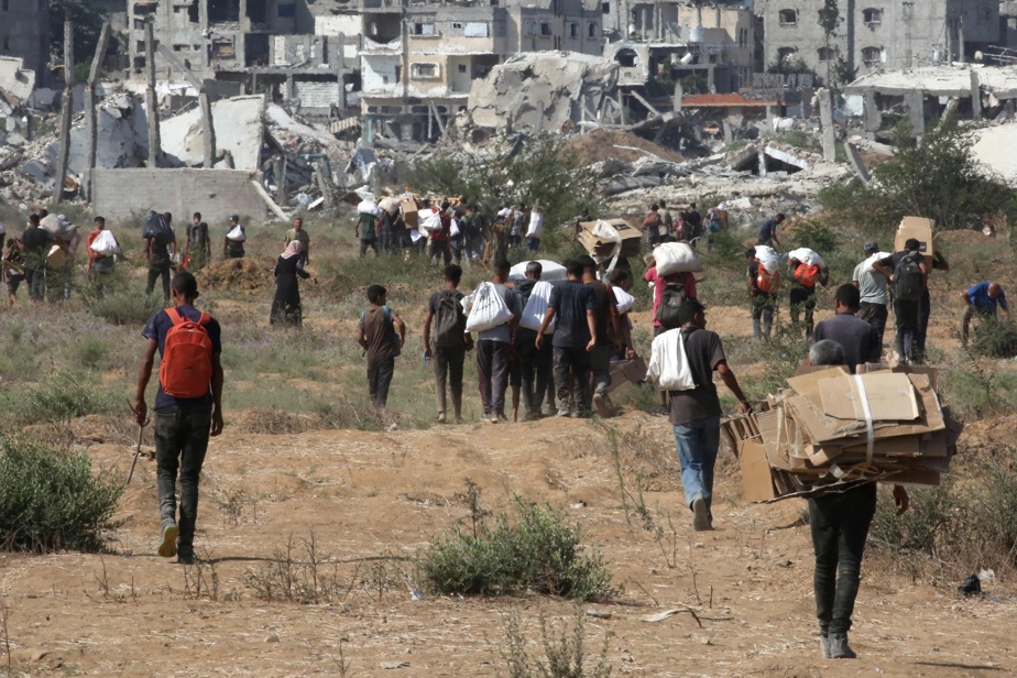 Bande de Gaza : 14 morts suite à des tirs israéliens