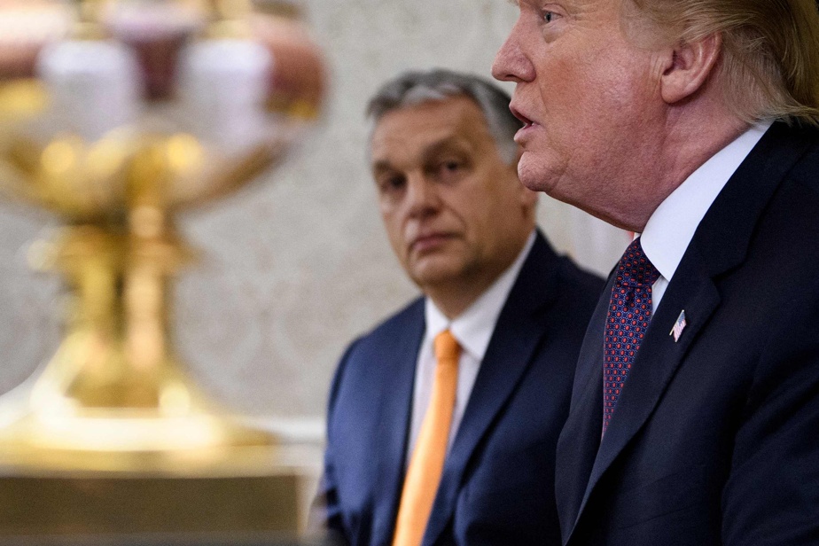 ‘Grande líder’ |  Trump pede reeleição do húngaro Viktor Orbán