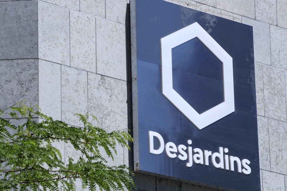 Desjardins abandonne Hamster : un tournant vers l'international