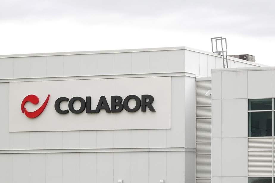 Colabor : Une journée boursière tumultueuse à ne pas manquer !