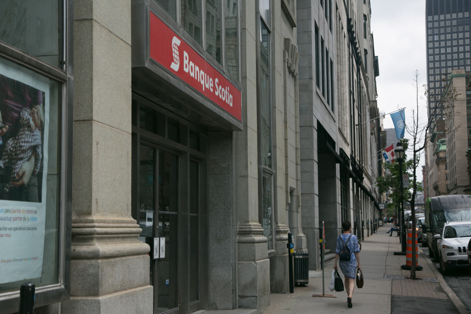 Bénéfice en hausse : La Banque Scotia brille au T3