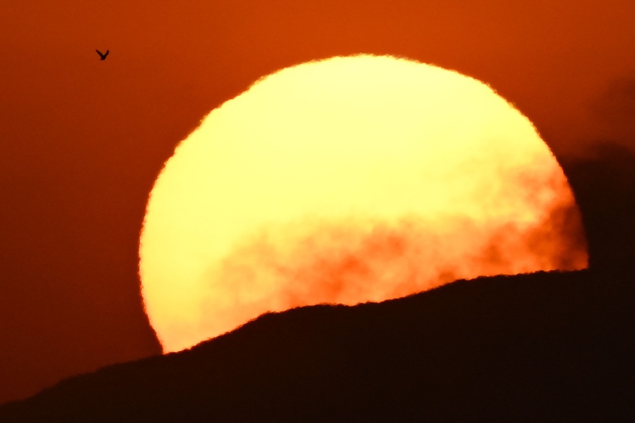 Registra un’ondata di caldo in California