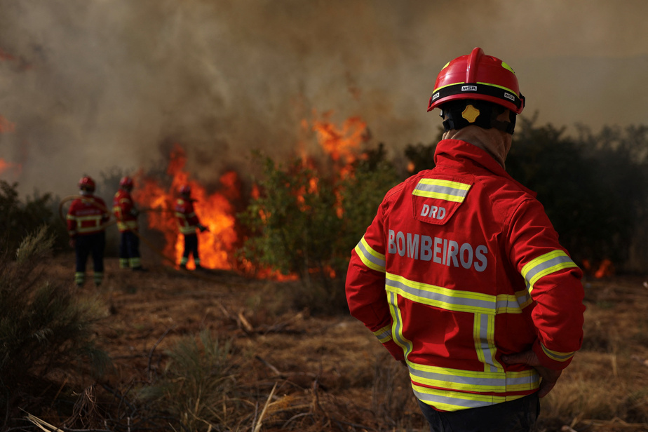 Incendies dévastateurs : L'Europe en proie aux flammes