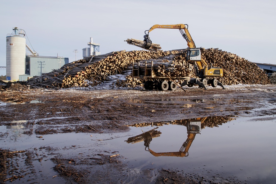 Augmentation des droits de douane sur le bois : Impact imminent !