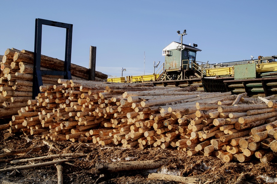 Partenariat Québec-Finlande : Innovations en Produits du Bois