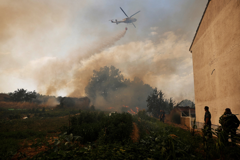 Canicule : L'Europe en lutte contre les incendies dévastateurs