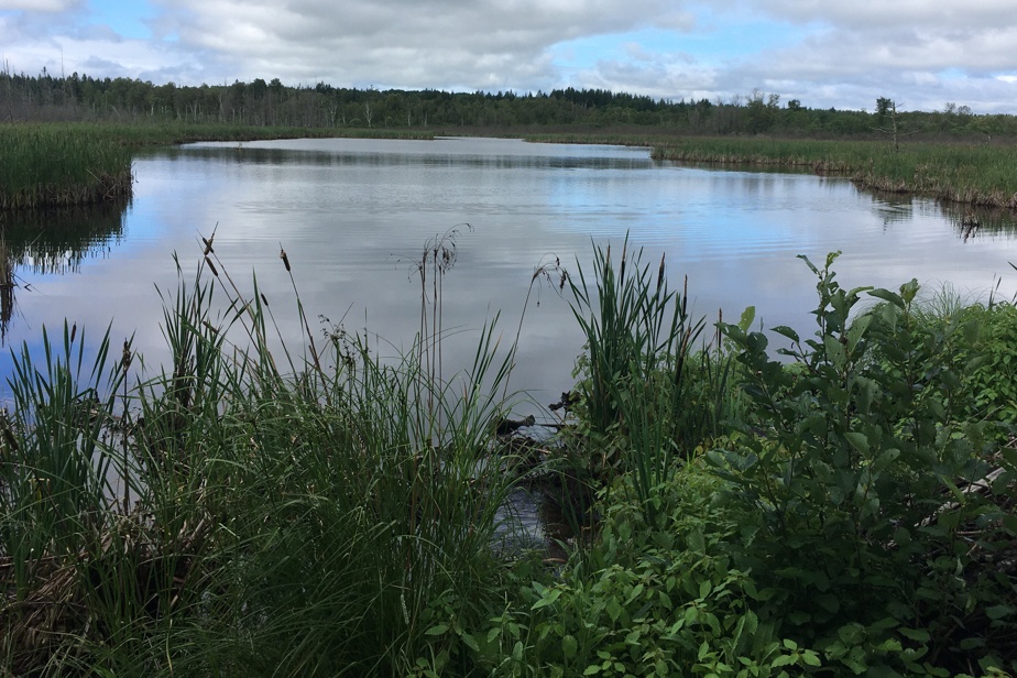 Travaux dans une réserve naturelle | Un village beauceron dans la ligne de mire du ministère de l’Environnement
