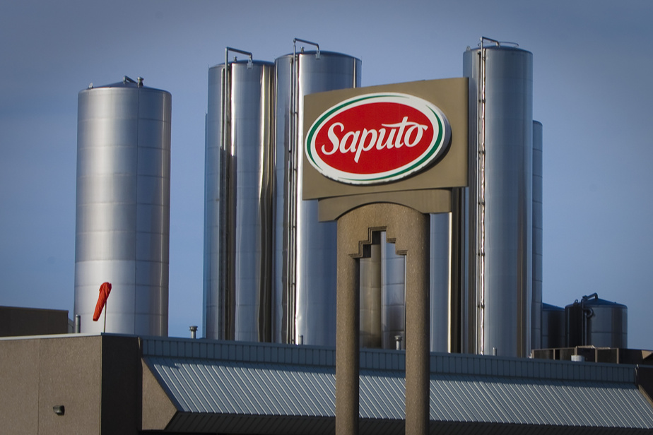 Saputo : Le Signal d'un Renouveau Prometteur